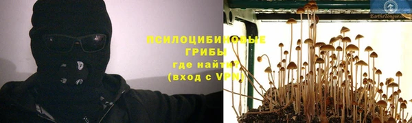 apvp Вяземский