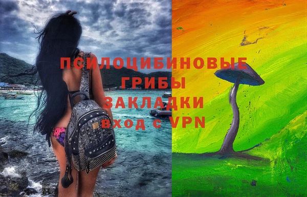 ешки Володарск