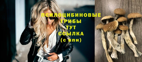 apvp Вяземский
