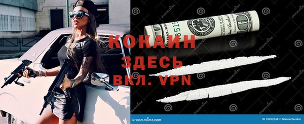 герыч Россошь